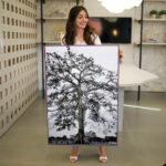 Quadro Decorativo Árvore Samaumeira - Imagem 5