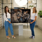 Quadro Decorativo Casal de Leões - Imagem 4