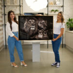 Quadro Decorativo Família de Leões com 2 Filhos - Imagem 5