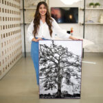 Quadro Decorativo Árvore Samaumeira - Imagem 4
