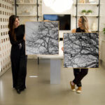 Quadro Decorativo Galhos Secos - Composição 94 - Imagem 3