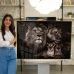 Quadro Decorativo Família de Leões com 2 Filhos - Imagem 3
