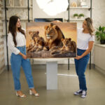 Quadro Decorativo Família de Leões 2 Filhos - Imagem 4